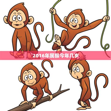 2016 猴 五行|2016年属猴是什么命 金木水火土 2016年属猴是火命